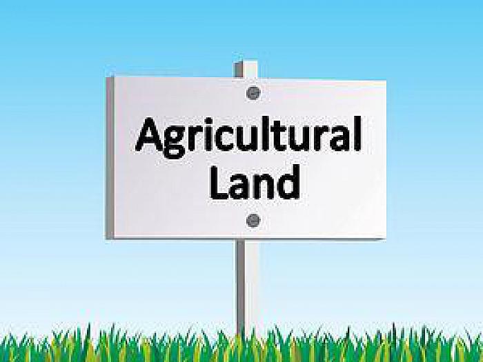 Quality Agricultural Lands Adjacent To 133 Ballylesson Road